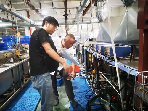 規范廠中廠服務小微園，樂清翁垟街道繃緊企業生產安全弦